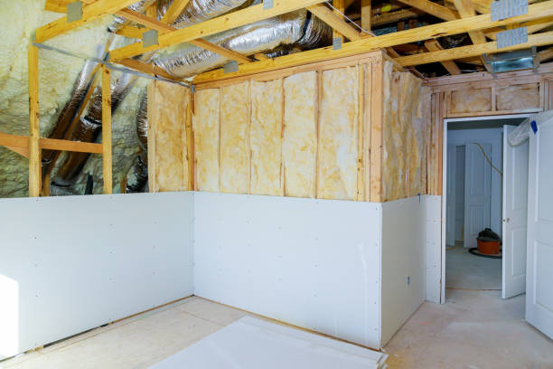 Best Insulation Maintenance and Repair in Lake Andes, SD